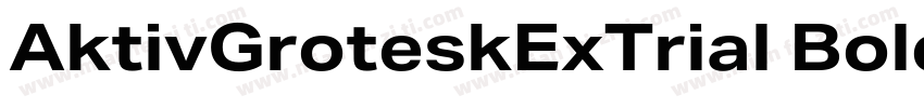 AktivGroteskExTrial Bold字体转换